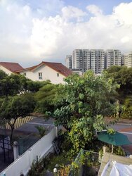Wolskel Road (D13), Semi-Detached #459342291